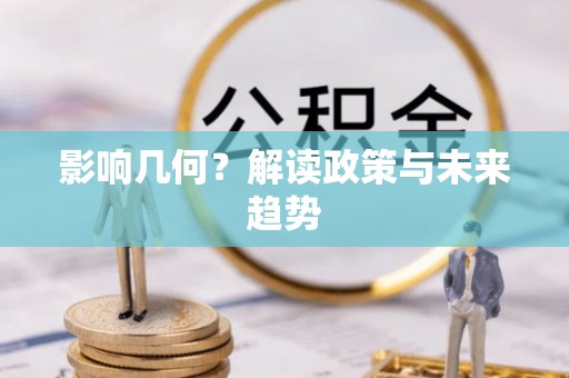 临泉影响几何？解读政策与未来趋势