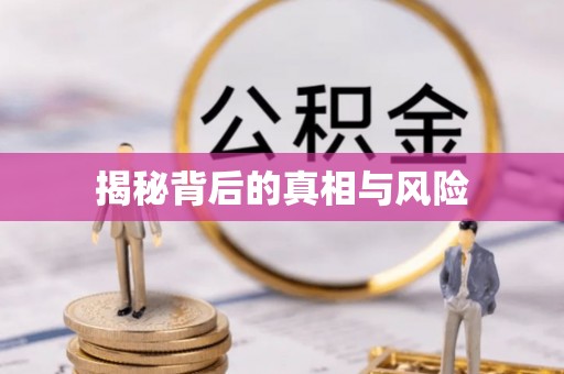 临泉揭秘背后的真相与风险