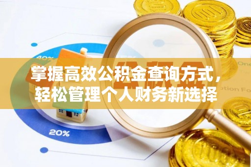 临泉掌握高效公积金查询方式，轻松管理个人财务新选择