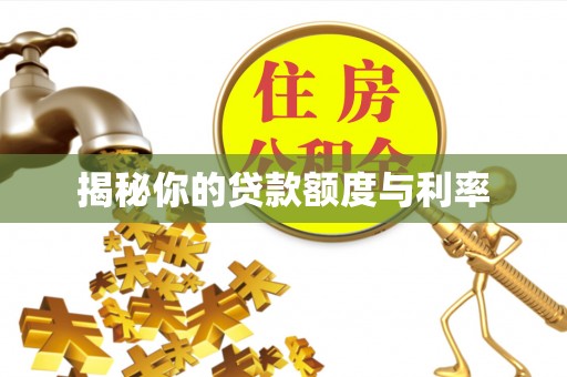 临泉揭秘你的贷款额度与利率