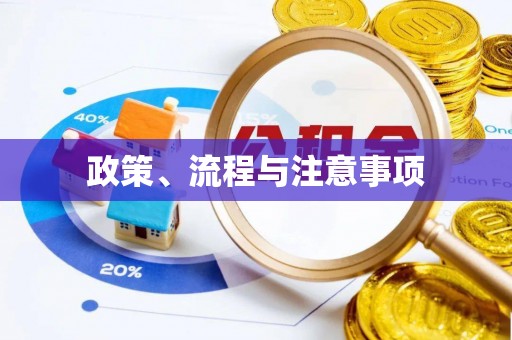 临泉政策、流程与注意事项