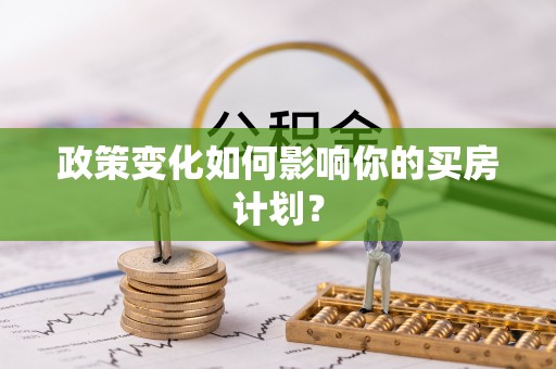 临泉政策变化如何影响你的买房计划？