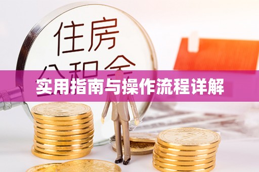 临泉实用指南与操作流程详解
