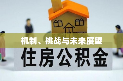 临泉机制、挑战与未来展望