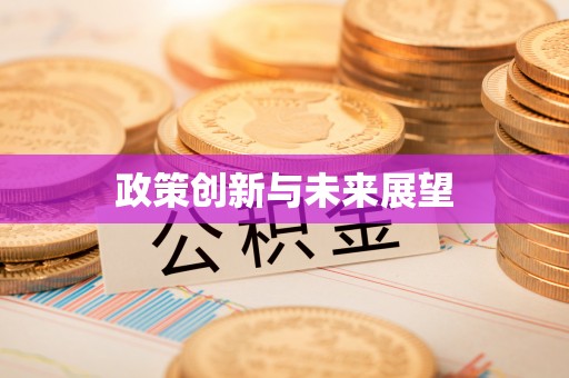 临泉政策创新与未来展望
