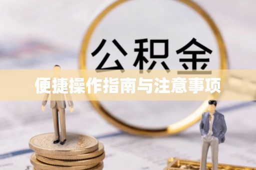 临泉便捷操作指南与注意事项